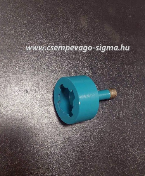 366790946_681521276730011_2053221358486232140_n4